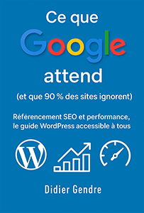 livre Ce que Google attend (et que 90 % des sites ignorent)